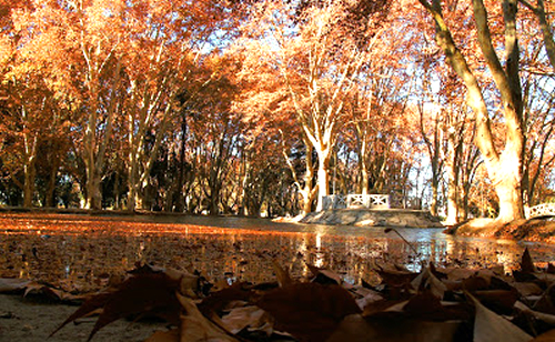 escapadas fin de semana cordoba
