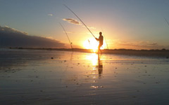 sol de piedra